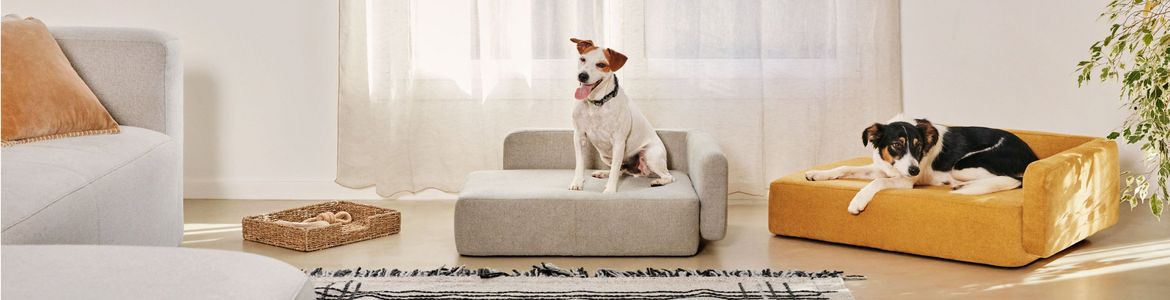 Luxury living furniture for dogs and cats.