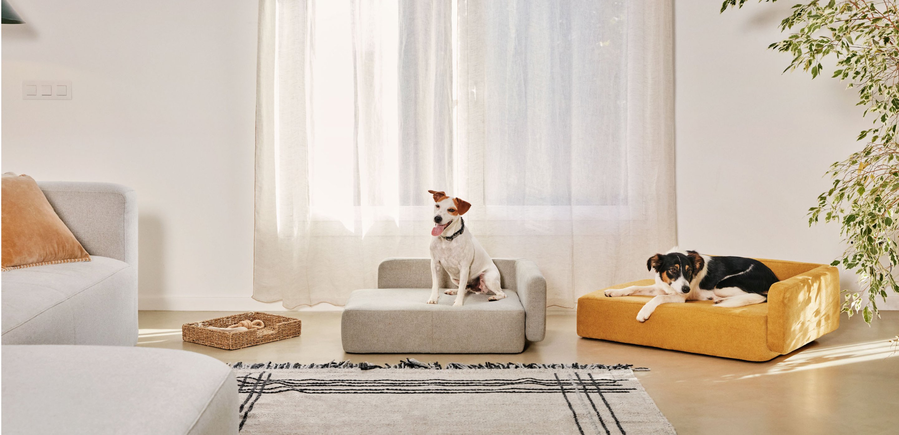 Pet Furniture collection